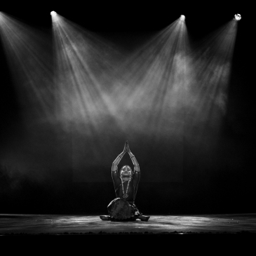 Bharatnatyam by Vidhushi Meera Sreenarayanan